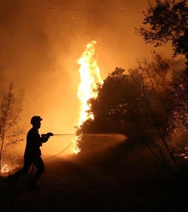 Поражения, предизвикани от горски пожари Горите са източник на живот, здраве и богатство.
