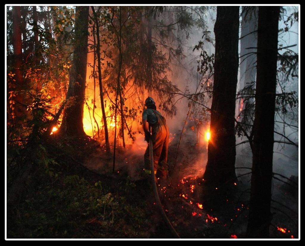 Характерно за горските пожари е бързото им нарастване на големи площи със завихряне и прехвърляне на искри на големи разстояния и образуване на нови