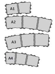 Всеки елемент представлява няколко сегмента в зависимост от типа (А или B), които са с височина 10 см и са свързани в основата си (фиг. 1).
