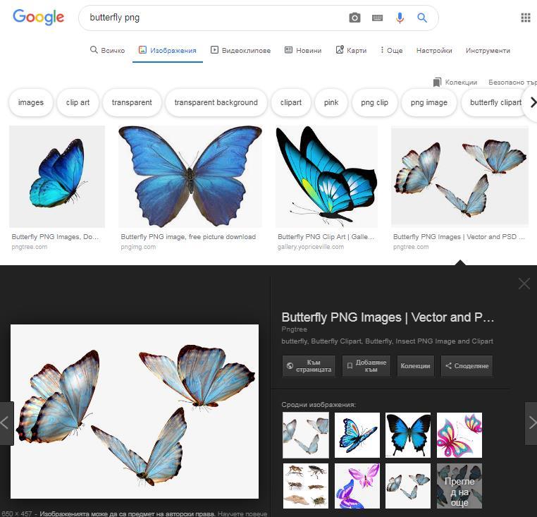 Да потърсим картинка на пеперуда Влизаме в интернет и в полето за търсене изписваме име на обект butterfly.