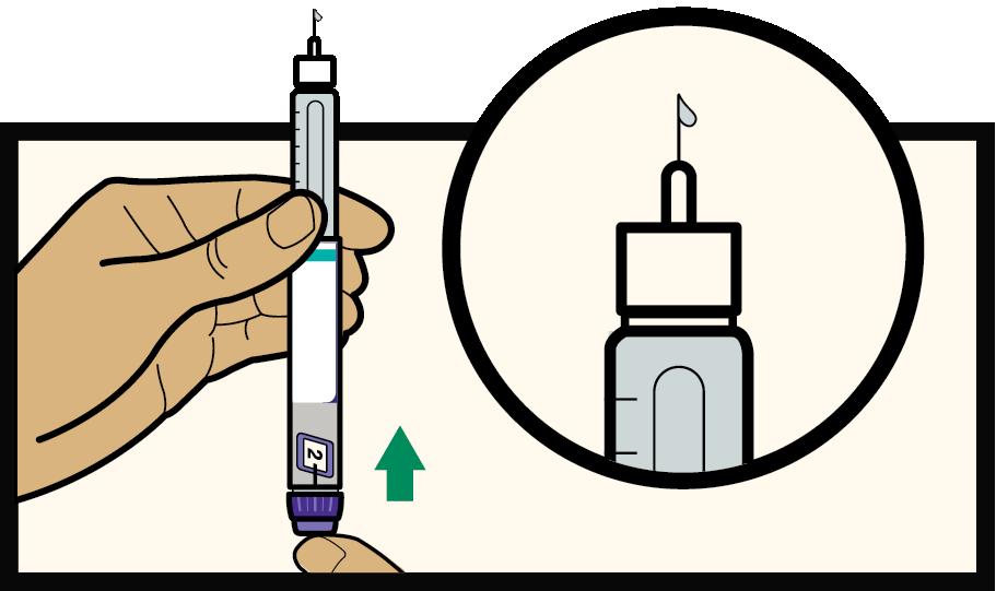 Натиснете, за да инжектирате във въздуха Натиснете докрай бутона за инжектиране, докато иглата сочи нагоре във въздуха. Уверете се, че от писалката излиза инсулин.