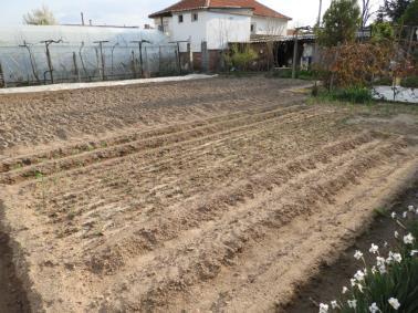 Градините в България Домашна градина в Любимец, 2017 Домашна градина в Йоаким Груево, 2019 Размер на градината 10-12000 m 2, в зависимост от терена и