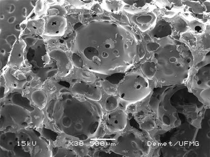 8 Journal of Nanomaterials 30 15 kv 500 μm Demet/UFMG (a)