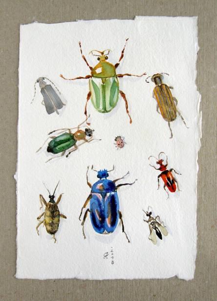 ІІ. НАСЕКОМИ. Присъствието на насекомите в природата е глобално. Те са наймногобройната и разнообразна популация на земята. Ентомолозите различават около един милион вида насекоми.