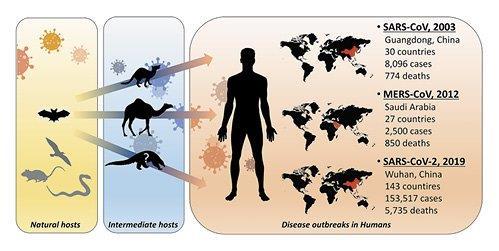съответствие с други предишни открития, които показват, че прилепите са гостоприемници на няколко вида коронавируси.