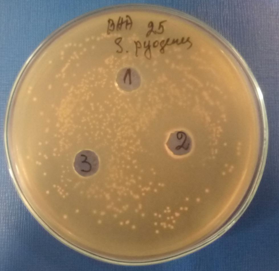Фигура 8. Антибактериална активност на филтрати от тест пробите срещу патогенни бактерии от вида Streptococcus pyogenes.
