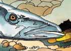 Но отровата им не действа на рибите клоуни. Рибата клоун плува около актинията и при опасност се скрива сред пипалата ѝ. Така примамва своите неприятели и те стават плячка на актинията.