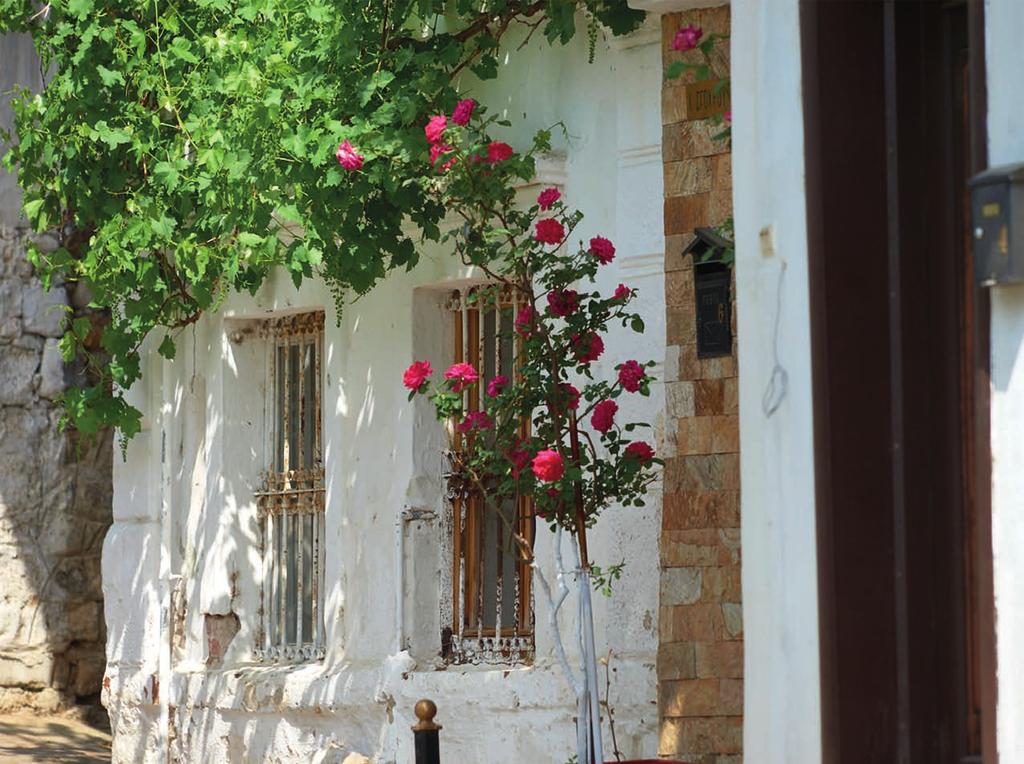 Людмил Христов. Белият зид с цветята, гр. Ксанти, Гърция, 2018 г.