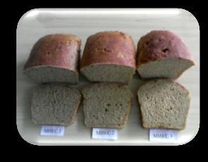 24 Вид нискоглутенов хляб Фиг. 3. Разрез на нискоглутеновия хляб -миксове 1,2 и 3 Таблица 12.