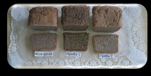 33 Фиг. 4. Разрез на белтъчнообогатения хляб контрола,проби 1и2 От фигура 4 е видно, че шупливостта на средината при контролата, проби 1 и 2 са дебелостенна, дребна и рехава.