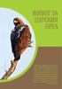 ЖИВОТ ЗА ЦАРСКИЯ ОРЕЛ Andras Kovacs/RaptorImages Проектът Живот за царския орел (LIFE 12/NAT/BG/000572) се изпълнява с финансовата подкрепа на програм