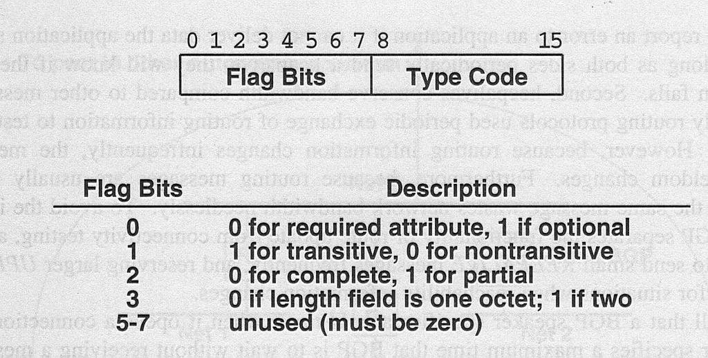 Полето Type е двубайтово първият байт е Flag Bits, а вторият Type Code: Полето Length e един или два байта (това се индицира от Flag Bit 3) като същото определя