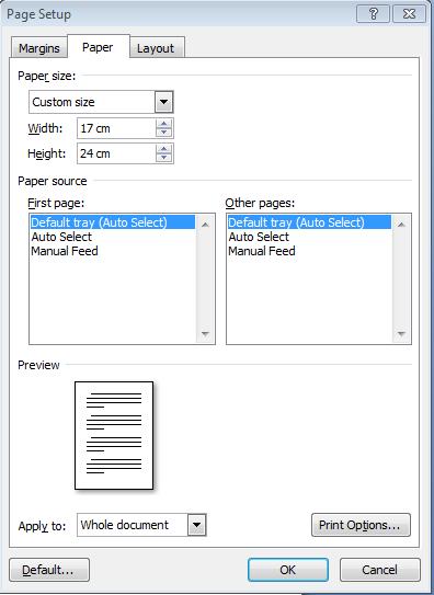Page Layout\ Size\ More Paper Sizes