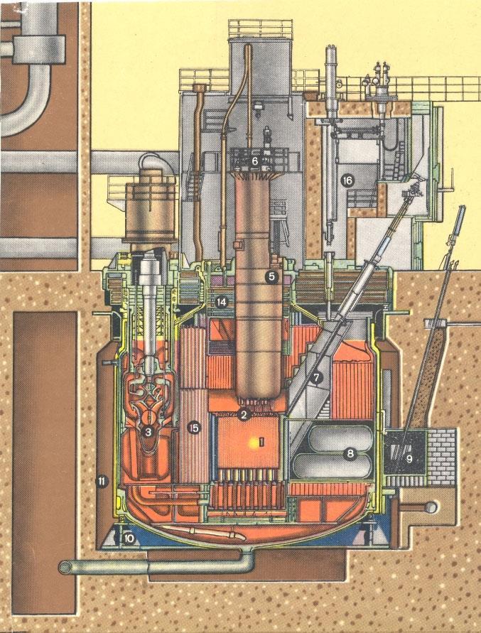 Представители на промишлени реактори на бързи неутрони от руска страна са БН-350, БН-600, БН- 800, от френска- Феникс, Суперфеникс, от американска Ферми-1, от немска КНК-1, КНК-2, СНР-300.