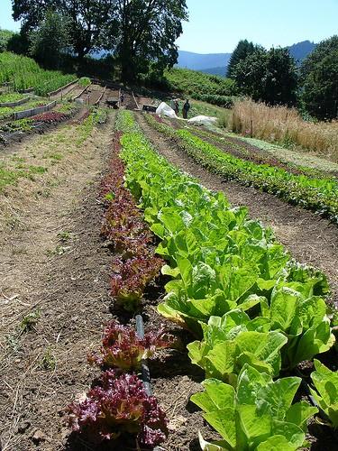 Рентабилни начини в помощ на фермерите за приспособяване към измененията в климата Механизми за финансиране, които отчитат и подкрепят връзката между устойчивото развитие на селските райони и