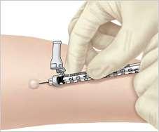Препоръки за имунизации на МП (СЗО и CDC,