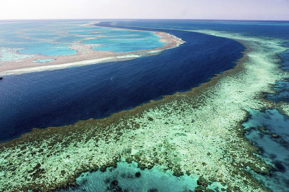 Големият бариерен риф Кораловият риф е намалял с над 50% през последните 30 години.