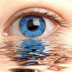 Орган на зрението, organum visus Някои забележителни факти за човешкото око: Очната ябълка у човек тежи приблизително 28 g; Макар че само 1/6 от него е в контакт с външния свят, близо половината от