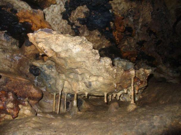 ЗЗ Каленска пещера с код BG0000601, включена в списъка със защитени зони с Решение 122/02.03.2007г.