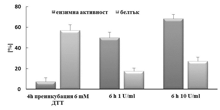 Тези резултати показаха, че третирането с електрично поле предизвиква увеличаване на проницаемостта на клетъчната стена на рекомбинантния щам, както е наблюдавано при други дрожди [Ganeva et al.