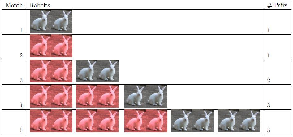 Зайците на Фибоначи Името на Фибоначи най-често се свързва с числова редица, произтичаща от една задача в Книга за смятането.