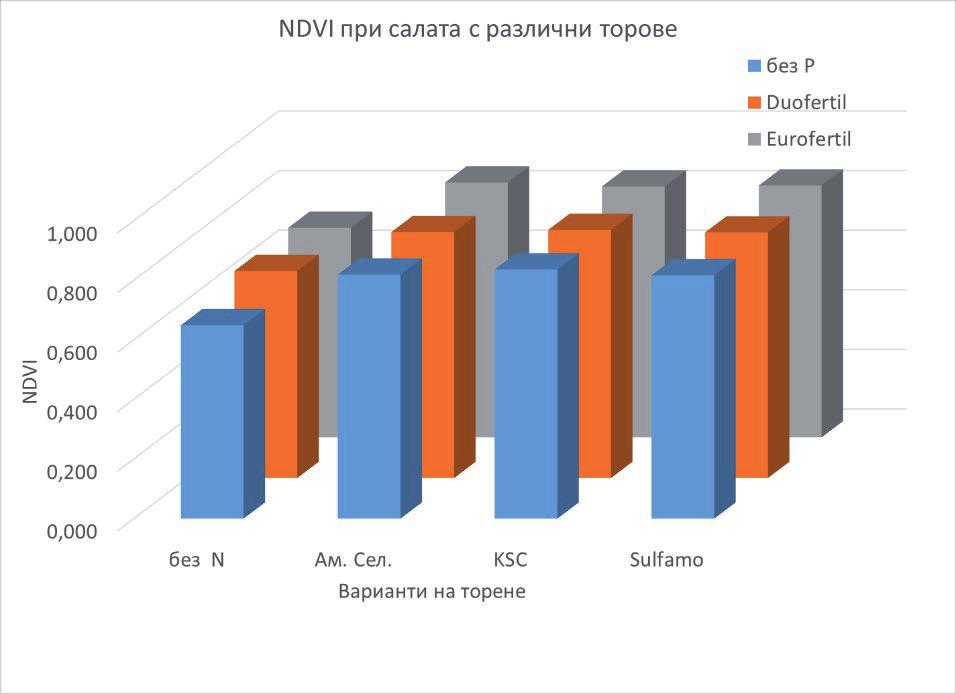 Фиг. 19. Вегетационен индекс NDVI при салати в зависимост от торенето При анализа на вегетационния индекс NDVI се вижда, че азотното торене се различава значително от контролния вариант (Фиг.