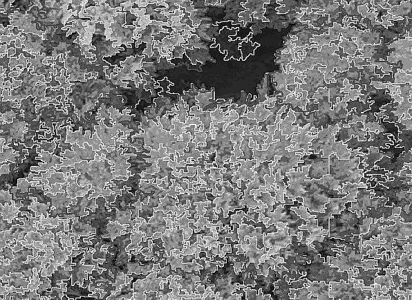 Фиг. 5. Резултат от сегментацията на изображение на пробна площ в букова гора (вр. Острец). Всяка дървесна корона е разцепена от модела на десетки полигони с неправилна форма 5.4.