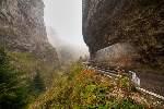 N. Село Гела: Село Гела се намира в сърцето на Родопите, в переликския дял на планината. Счита се, че историята на Гела има 3300 годишен живот.