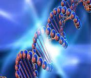 ДНК и РНК секвенции Дефиниция Откритие Измерване Състав Молекулите ДНК съдържа информацията, която