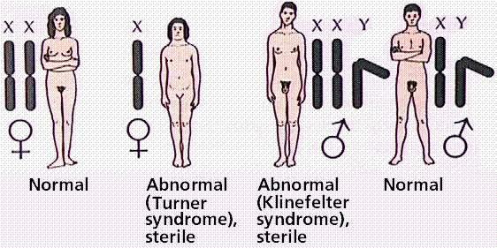 тризомия 18 (синдром на Edward) полиплоидия Структурни аномалии: делеции (загуба на хромозомен материал)
