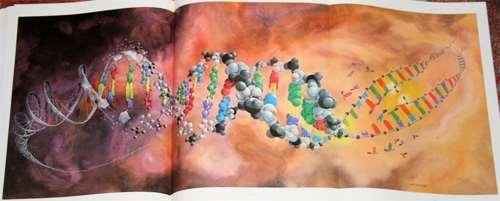 ДНК матрица