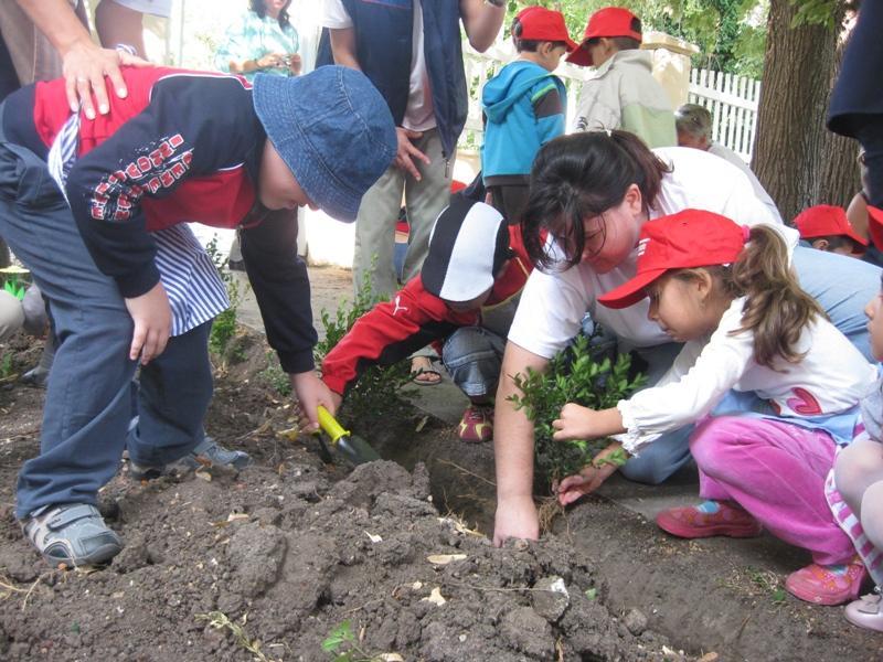 В периода юли ноември организирахме 5 еко-инициативи, заедно с деца от детски градини.
