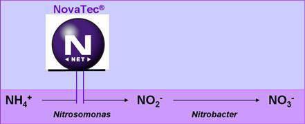NovaTec : Доказана технология, по-добра от всякога! NovaTec e NPK комплексен гранулиран тор с инхибитор на нитрификация DMPP (3,4- dimethylpyrazolphosphate).