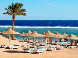 АДРЕС: Al Pasha Coast, Sharm el Sheikh, South Sinai 11432 ТЕЛЕФОН: