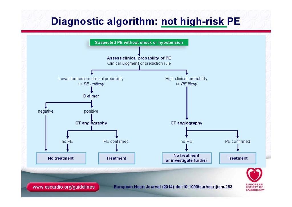 Диагностичен алгоритъм БТЕ с не-висок риск Суспекция за БТЕ без шок или хипотония Клинична вероятност за БТЕ Малко вероятна БТЕ