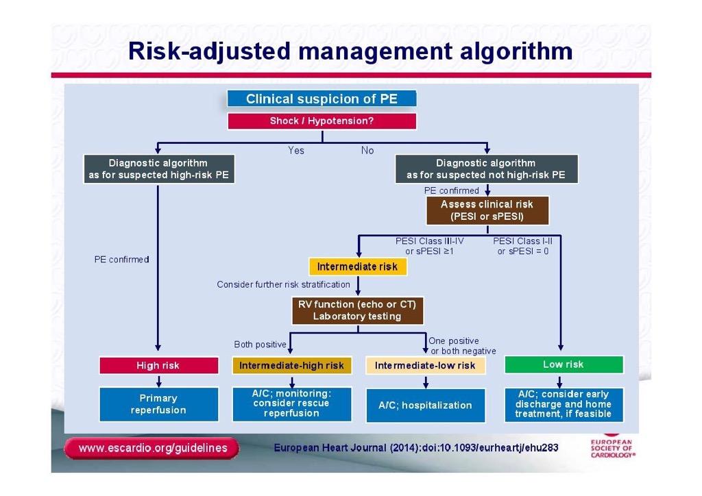 Алгоритъм за поведение основан на риска Клинична суспекция за БТЕ Шок или хипотония Диагностичен алгоритъм като за БТЕ с висок риск Да Не Диагностичен алгоритъм като за БТЕ с не-висок риск Потвърден