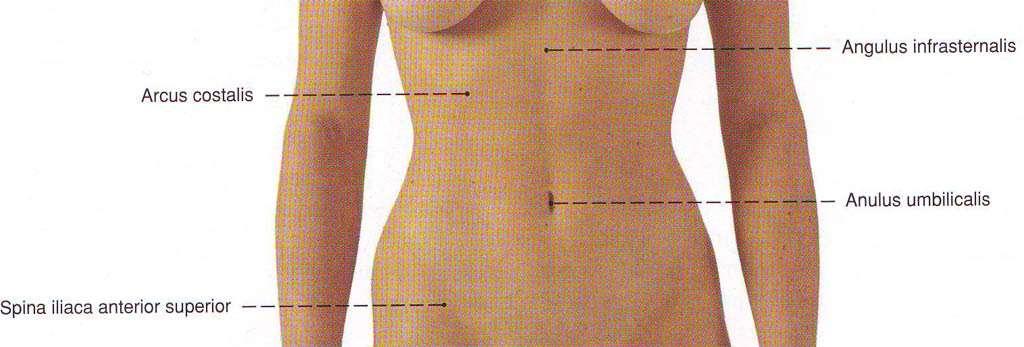 Корем, abdomen: граници и етажи