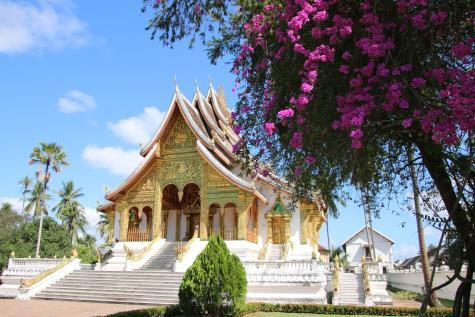 пресичат. По пътя ще посетим и Белия храм Wat Rong Khun.