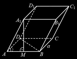 От равенството BD a b c намираме b 6 6 44 6 7 6 Следователно AB = BC = 6 cm, CC = 6 cm и b = 6 cm 6 Нека средата М на ръба АВ е ортогоналната проекция на върха A върху равнината на основата ABCD