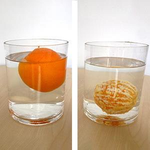Плува или потъва? Дали един портокал, поставен във вода ще плува или ще потъне? Този въпрос на пръв поглед изглежда много лесен, нали? Но дали наистина е така? Задайте въпроса на децата.