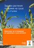 Здрави растения по време на суша в 10 стъпки Наръчник за отглеждане на царевица в сухи условия
