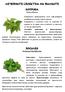 ЛЕЧЕБНИТЕ СВОЙСТВА НА БИЛКИТЕ КОПРИВА Urtica Dioica Копривата принадлежи към най-добрите лечебни растения, които имаме. Копривата е полезна като се за