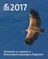 Vulture calendar a.indd